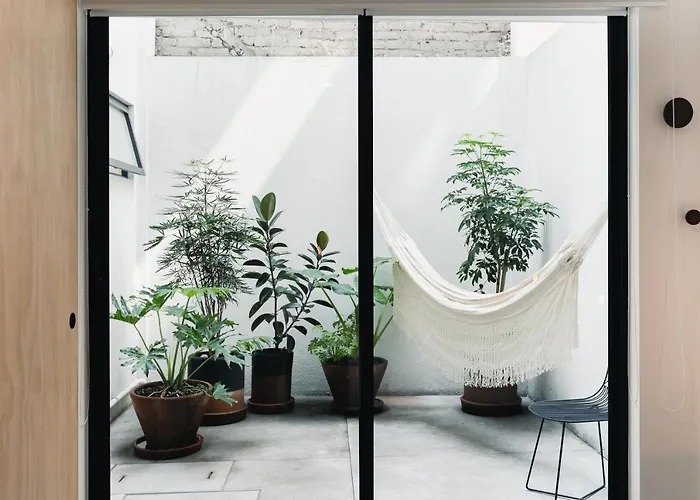 Cozy & Hip Roma Apt With 2 Private Terraces! Apartment Mexico City